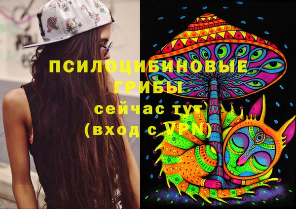 mix Верхний Тагил