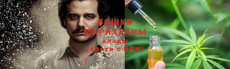 МАРИХУАНА OG Kush  мега ТОР  Новомичуринск  дарнет шоп 